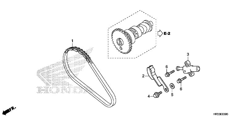 CAM CHAIN/TENSIONER