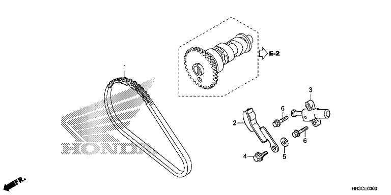 CAM CHAIN/TENSIONER