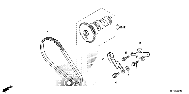 CAM CHAIN/TENSIONER