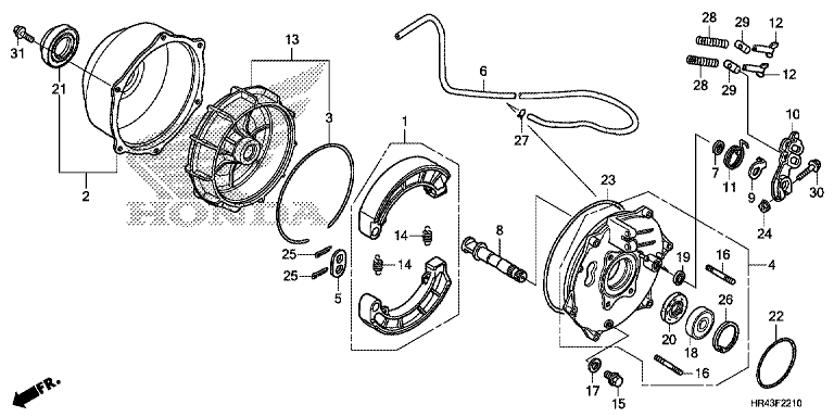 REAR BRAKE PANEL