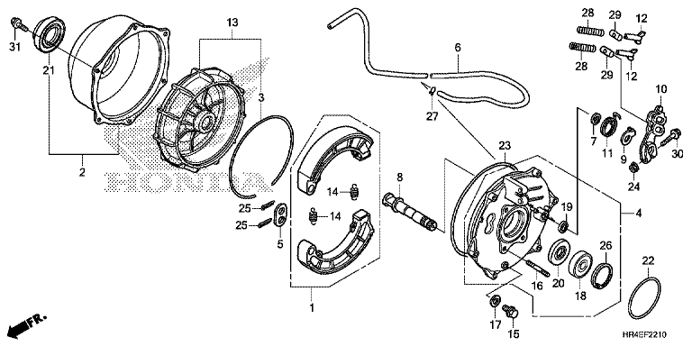 REAR BRAKE PANEL