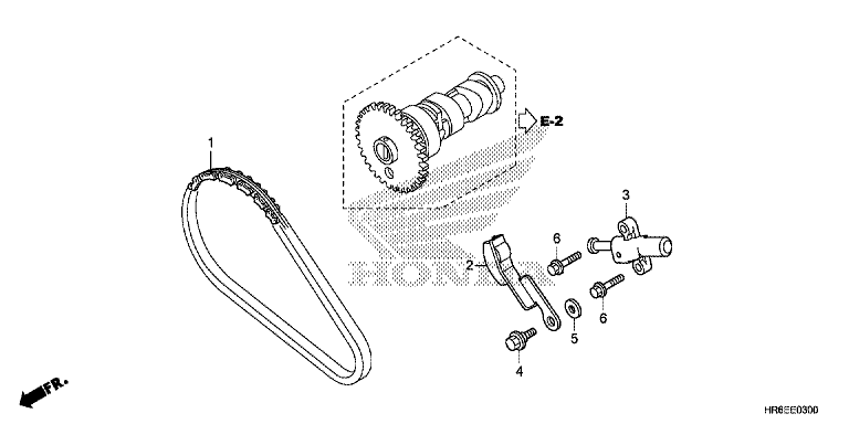 CAM CHAIN/TENSIONER