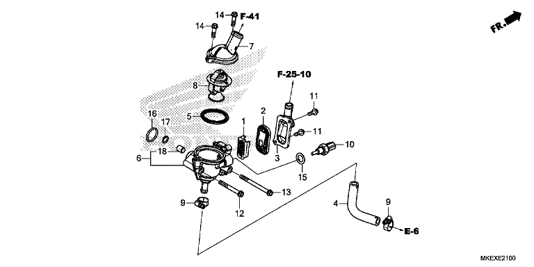 THERMOSTAT/HOSE