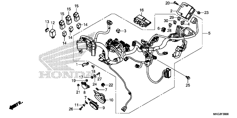 WIRE HARNESS