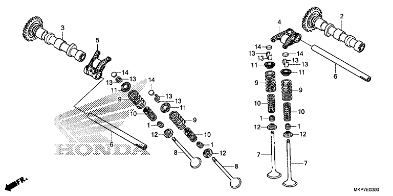 CAMSHAFT/VALVE