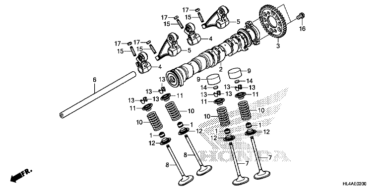 CAMSHAFT/VALVE