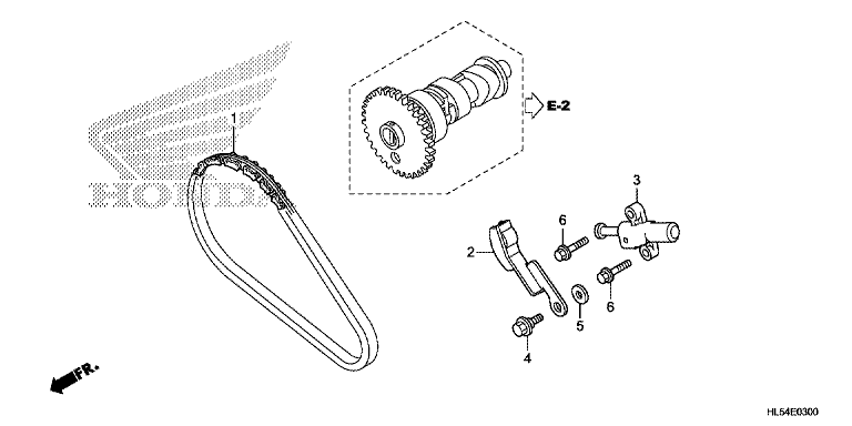 CAM CHAIN/TENSIONER