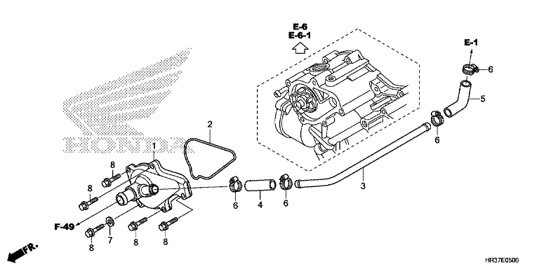 WATER PUMP COVER