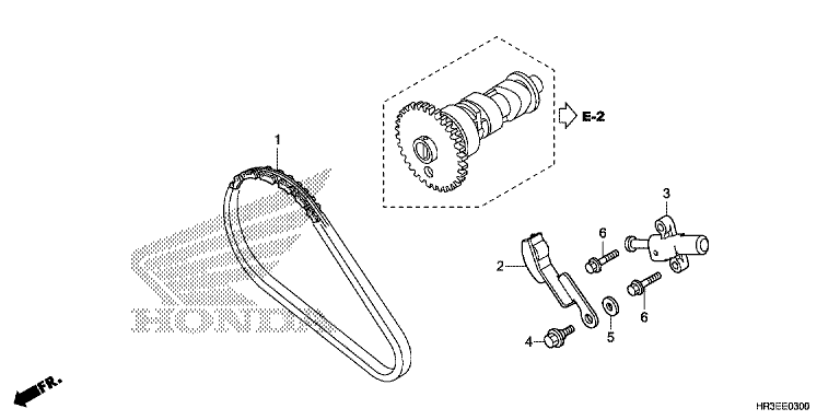 CAM CHAIN/TENSIONER