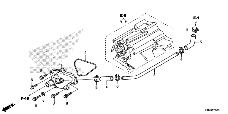 WATER PUMP COVER