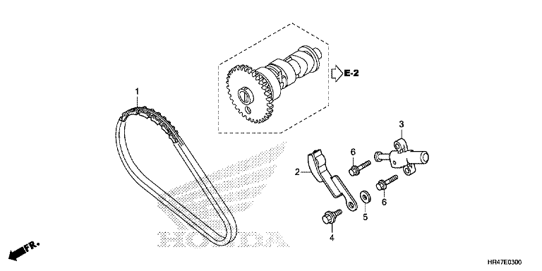 CAM CHAIN/TENSIONER