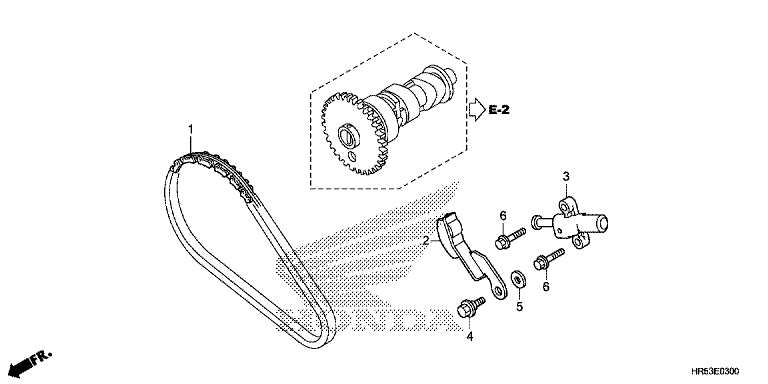 CAM CHAIN/TENSIONER