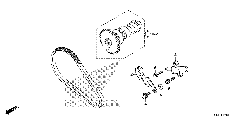 CAM CHAIN/TENSIONER