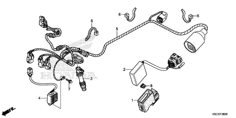 WIRE HARNESS