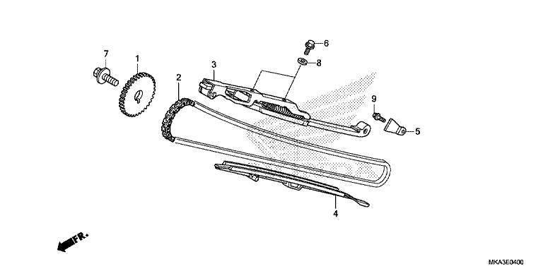 CAM CHAIN/TENSIONER