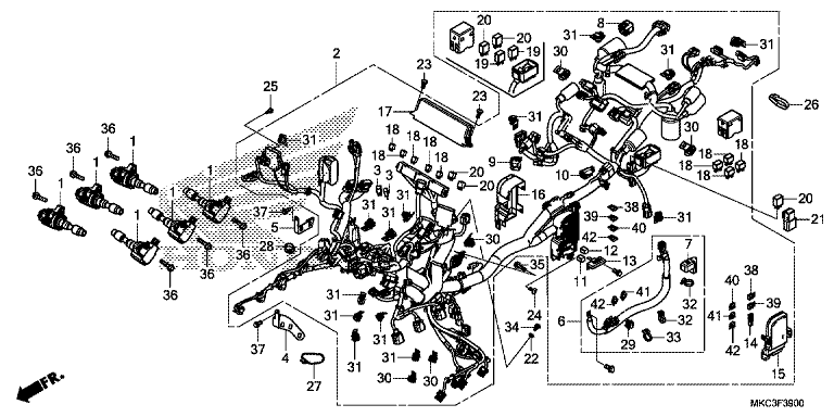 WIRE HARNESS