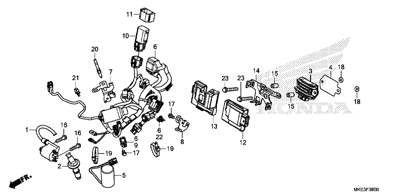 WIRE HARNESS