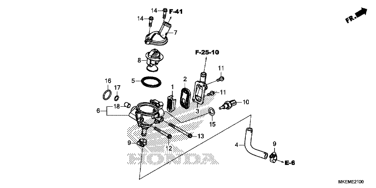 THERMOSTAT/HOSE