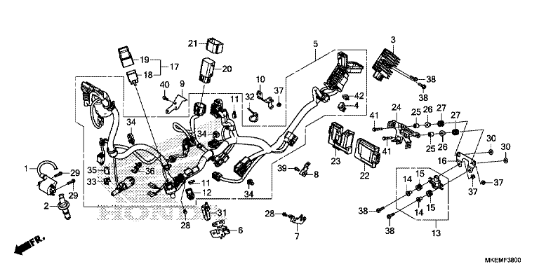 WIRE HARNESS