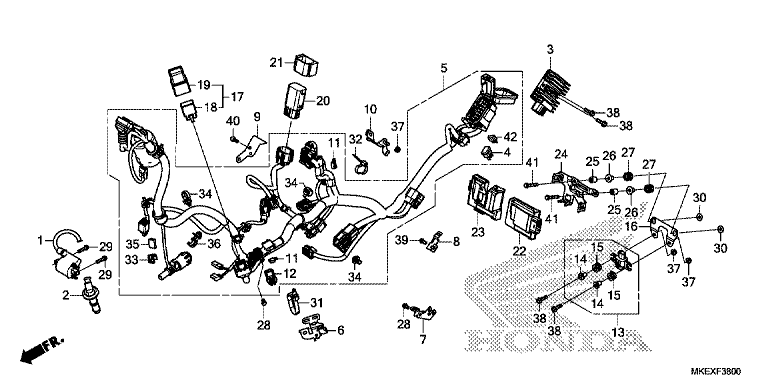 WIRE HARNESS