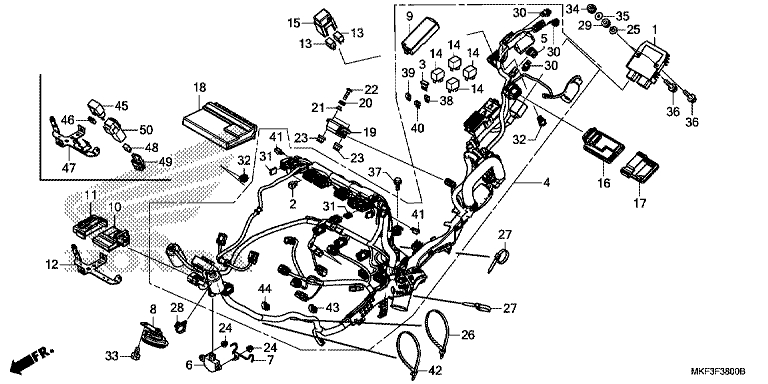 WIRE HARNESS