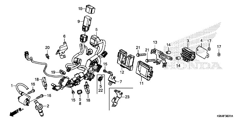 WIRE HARNESS ('19-)