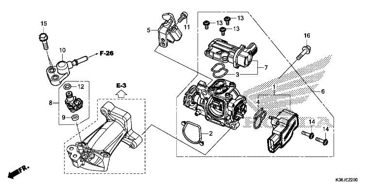 THROTTLE BODY/FUEL INJECTOR