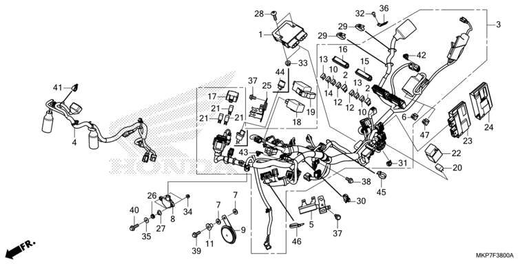 WIRE HARNESS