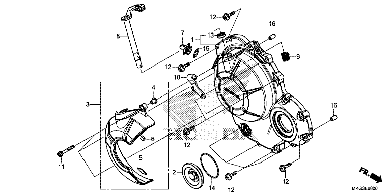 RIGHT CRANKCASE COVER