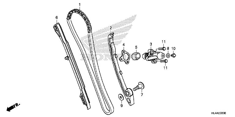 CAM CHAIN/TENSIONER