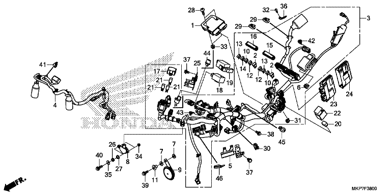 WIRE HARNESS