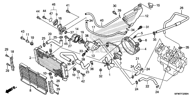 RADIATOR