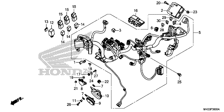 WIRE HARNESS