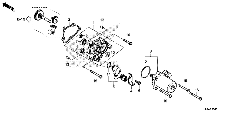 CONTROL MOTOR